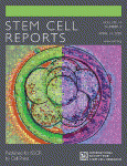 Cell Stem report